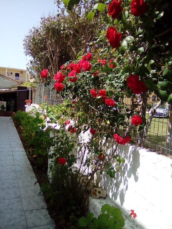 Tony'S Apartments Agios Georgios (Corfu) Exterior foto